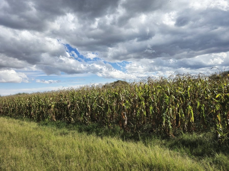 Commercial Property for Sale in Upington Rural Northern Cape